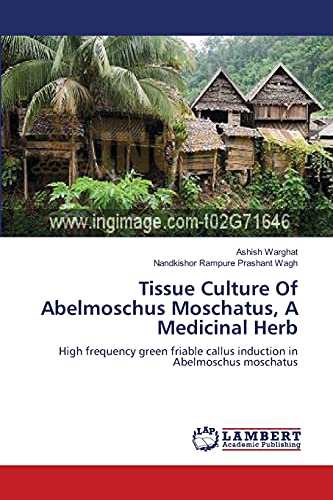 Tissue Culture Of Abelmoschus Moschatus, A Medicinal Herb : High frequency green friable callus induction in Abelmoschus moschatus - Ashish Warghat