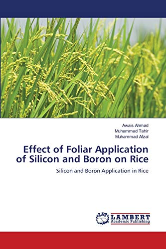 Stock image for Effect of Foliar Application of Silicon and Boron on Rice: Silicon and Boron Application in Rice for sale by Lucky's Textbooks