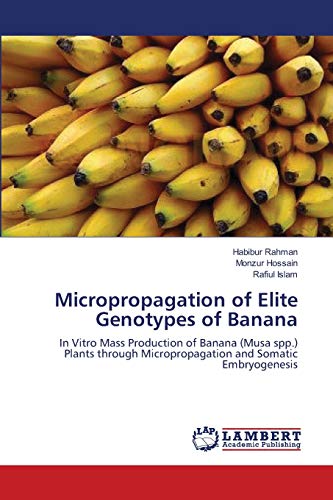 Beispielbild fr Micropropagation of Elite Genotypes of Banana: In Vitro Mass Production of Banana (Musa spp.) Plants through Micropropagation and Somatic Embryogenesis zum Verkauf von Lucky's Textbooks