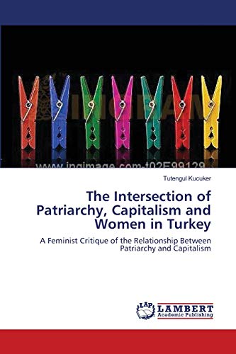 Imagen de archivo de The Intersection of Patriarchy, Capitalism and Women in Turkey: A Feminist Critique of the Relationship Between Patriarchy and Capitalism a la venta por Hippo Books