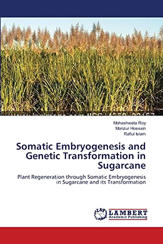 Somatic Embryogenesis and Genetic Transformation in Sugarcane: Plant Regeneration through Somatic Embryogenesis in Sugarcane and its Transformation (9783659153884) by Roy, Mohashweta; Hossain, Monzur; Islam, Rafiul