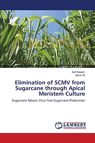 Beispielbild fr Elimination of SCMV from Sugarcane through Apical Meristem Culture: Sugarcane Mosaic Virus free Sugarcane Production zum Verkauf von Lucky's Textbooks