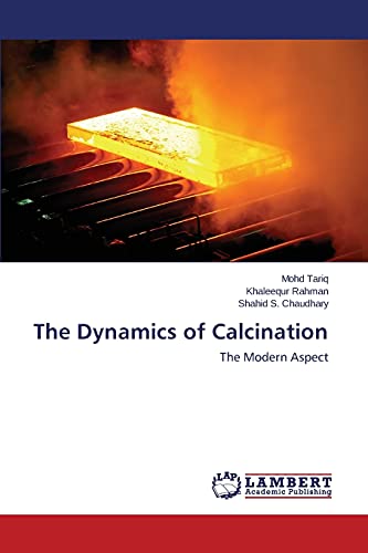 Imagen de archivo de The Dynamics of Calcination: The Modern Aspect a la venta por Lucky's Textbooks