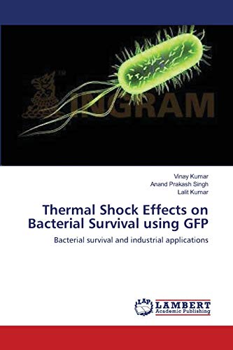 Thermal Shock Effects on Bacterial Survival using GFP: Bacterial survival and industrial applications (9783659196058) by Kumar, Vinay; Singh, Anand Prakash; Kumar, Lalit