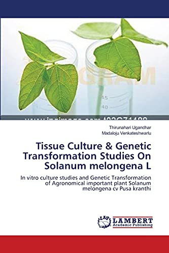 Stock image for Tissue Culture & Genetic Transformation Studies On Solanum melongena L: In vitro culture studies and Genetic Transformation of Agronomical important plant Solanum melongena cv Pusa kranthi for sale by Lucky's Textbooks