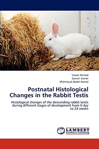 Stock image for Postnatal Histological Changes in the Rabbit Testis: Histological changes of the descending rabbit testis during different stages of development from 0 day to 24 weeks for sale by Lucky's Textbooks