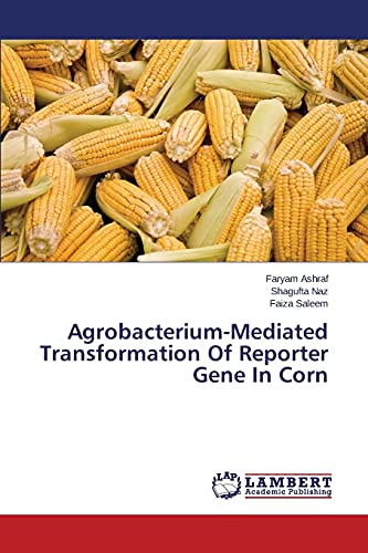 Stock image for Agrobacterium-Mediated Transformation Of Reporter Gene In Corn for sale by Lucky's Textbooks