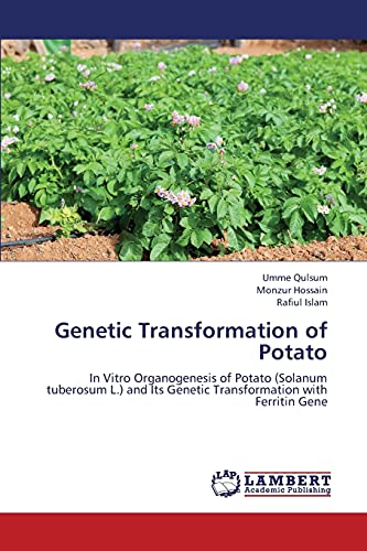 Beispielbild fr Genetic Transformation of Potato: In Vitro Organogenesis of Potato (Solanum tuberosum L.) and Its Genetic Transformation with Ferritin Gene zum Verkauf von Lucky's Textbooks
