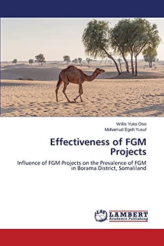 Stock image for Effectiveness of FGM Projects for sale by Lucky's Textbooks