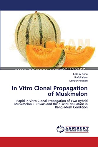 In Vitro Clonal Propagation of Muskmelon: Rapid In Vitro Clonal Propagation of Two Hybrid Muskmelon Cultivars and their Field Evaluation in Bangladesh Condition (9783659354328) by Al Faria, Laila; Islam, Rafiul; Hossain, Monzur