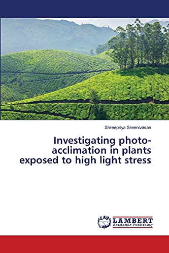 9783659484926: Investigating photo-acclimation in plants exposed to high light stress