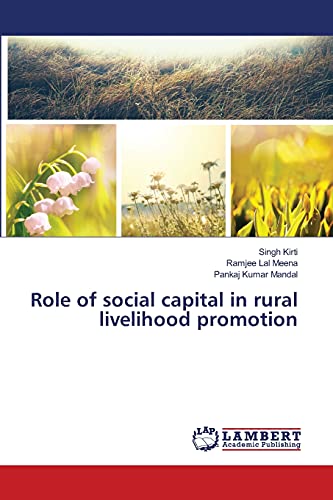 Stock image for Role of social capital in rural livelihood promotion for sale by Lucky's Textbooks