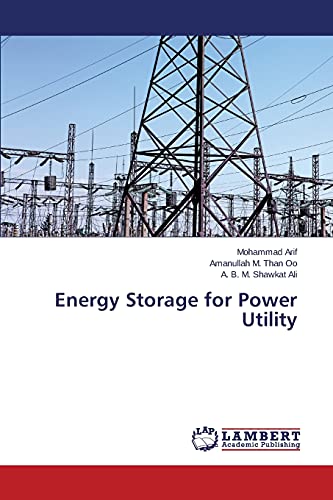 Stock image for Energy Storage for Power Utility for sale by Lucky's Textbooks