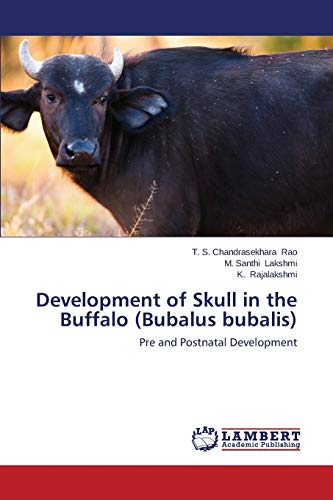 Stock image for Development of Skull in the Buffalo (Bubalus bubalis): Pre and Postnatal Development for sale by Lucky's Textbooks