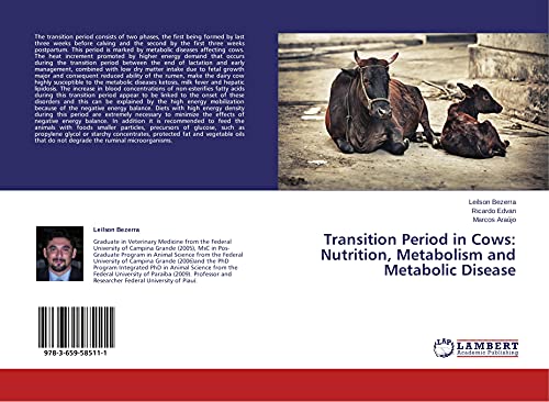 9783659585111: Transition Period in Cows: Nutrition, Metabolism and Metabolic Disease
