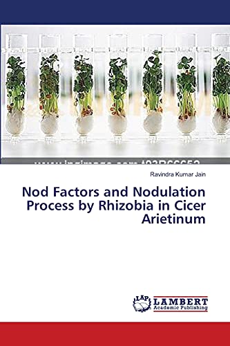 Stock image for Nod Factors and Nodulation Process by Rhizobia in Cicer Arietinum for sale by Lucky's Textbooks