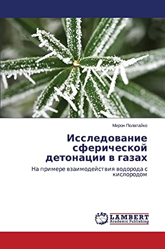 9783659661129: Issledovanie sfericheskoy detonatsii v gazakh: Na primere vzaimodeystviya vodoroda s kislorodom (Russian Edition)