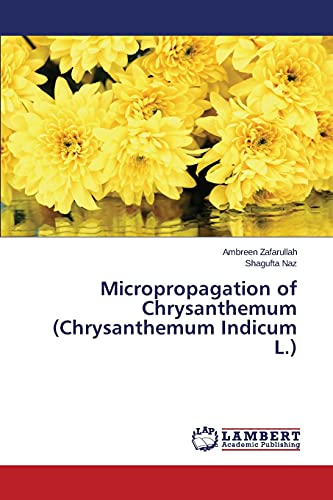 Imagen de archivo de Micropropagation of Chrysanthemum (Chrysanthemum Indicum L.) a la venta por Lucky's Textbooks
