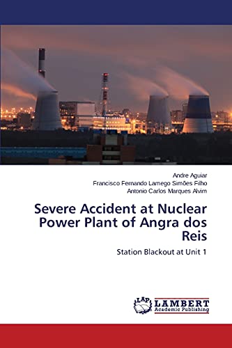 Stock image for Severe Accident at Nuclear Power Plant of Angra dos Reis for sale by Lucky's Textbooks