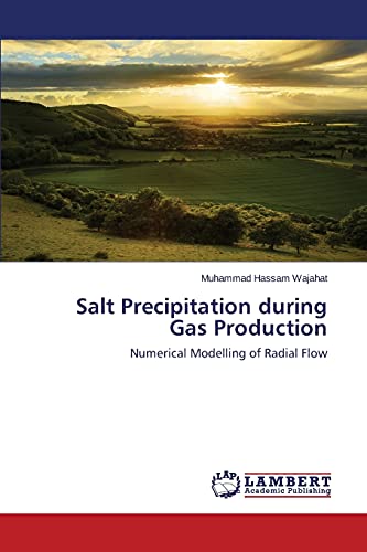 Stock image for Salt Precipitation during Gas Production for sale by Chiron Media