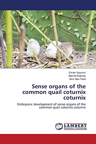 Stock image for Sense organs of the common quail coturnix coturnix: Embryonic development of sense organs of the common quail coturnix coturnix for sale by Lucky's Textbooks