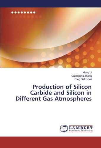 Stock image for Production of Silicon Carbide and Silicon in Different Gas Atmospheres for sale by Revaluation Books