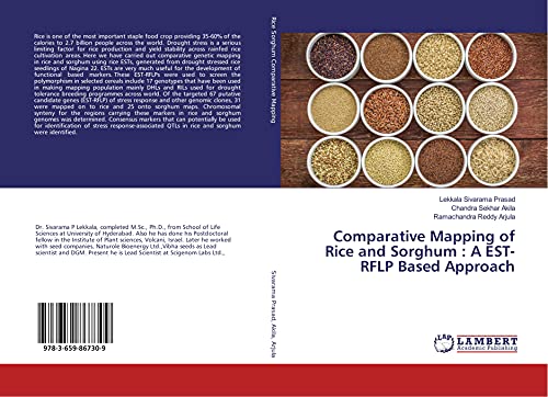 9783659867309: Comparative Mapping of Rice and Sorghum : A EST-RFLP Based Approach