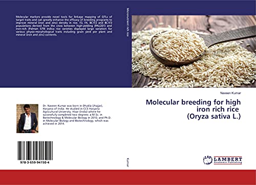 Beispielbild fr Molecular breeding for high iron rich rice (Oryza sativa L.) zum Verkauf von Buchpark