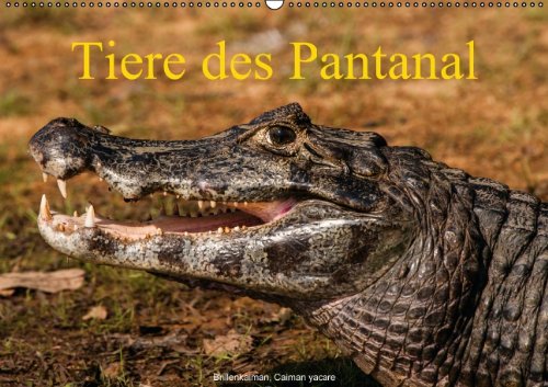 9783660024920: Tiere des Pantanal (PosterbuchDIN A4 quer): Tierportrts vom Boot aus oder auf der Pirsch (Posterbuch, 14 Seiten)