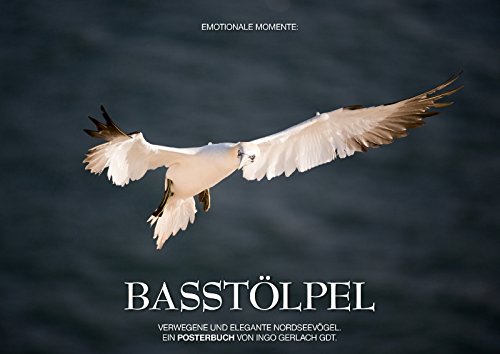 9783660060997: Emotionale Momente: Basstlpel (Posterbuch DIN A4 quer): Anmutig, pfeilschnell und elegant - die Basstlpel auf Helgoland. (Posterbuch, 14 Seiten)