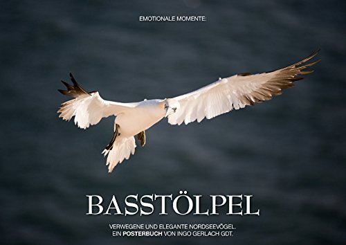 9783660061017: Emotionale Momente: Basstlpel (Posterbuch DIN A2 quer): Anmutig, pfeilschnell und elegant - die Basstlpel auf Helgoland. (Posterbuch, 14 Seiten)