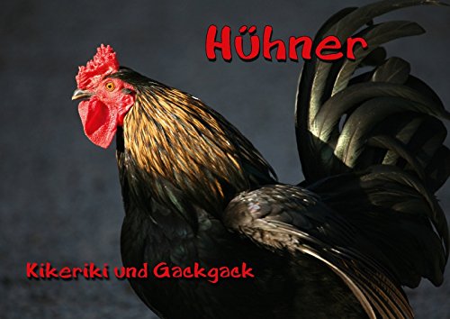9783660065541: Hhner (Posterbuch DIN A3 quer): Kikeriki und Gackgack (Posterbuch, 14 Seiten)