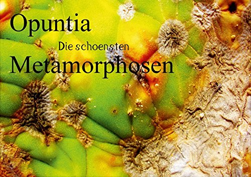 9783660072600: Opuntia die schoensten Metamorphosen (Posterbuch DIN A4 quer): So schn kann Sterben sein! Metamorphosen von Opuntien,im spanischen Hitzesommer 2012. ... Natur der Kuenstler! (Posterbuch, 14 Seiten)