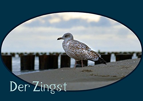 9783660076868: Der Zingst (Posterbuch DIN A4 quer): Die deutsche Halbinsel Zingst - am stlichen Ende der Halbinsel Fischland-Dar-Zingst an der Ostsee - gehrt zum ... (Posterbuch, 14 Seiten)