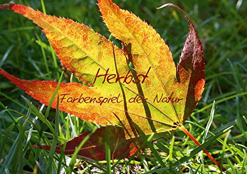 9783660078633: Herbst - Farbenspiel der Natur (Posterbuch DIN A3 quer): Naturaufnahmen im Herbst (Posterbuch, 14 Seiten)