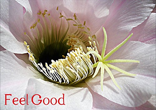 Feel Good (Posterbuch DIN A4 quer): Pure Entspannung gegen den hektischen Alltag (Posterbuch, 14 Seiten) - AnBe, by