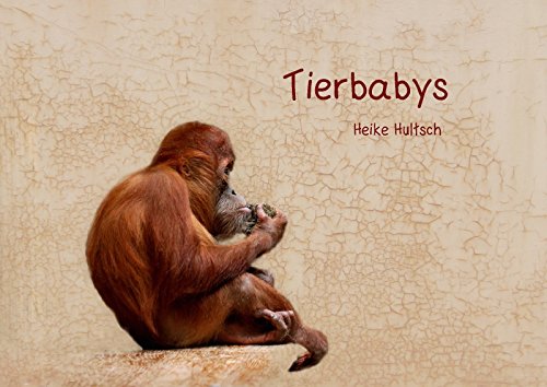 Tierbabys (Posterbuch DIN A4 quer): Süße Tierbabys (Posterbuch, 14 Seiten) - Heike Hultsch