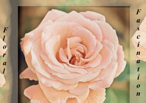 9783660080902: Floral Fascination (Posterbuch DIN A4 quer): Flipart, der einen wahren Bltenzauber versprht (Posterbuch, 14 Seiten)