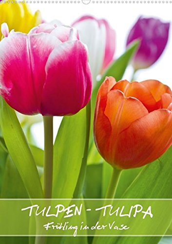 Tulpen - Tulipa (Posterbuch DIN A4 hoch) - Gerd Evermann Photography