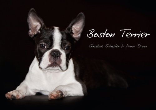 9783660107487: Boston Terrier (Posterbuch DIN A4 quer): Boston Terrier - kleiner Hund mit Lwenherz. (Posterbuch, 14 Seiten)