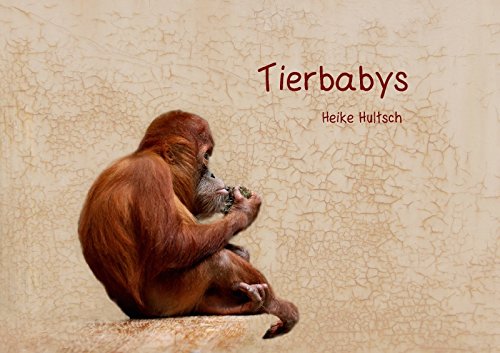 Tierbabys (Tischaufsteller DIN A5 quer): Süße Tierbabys (Tischaufsteller, 14 Seiten) - Heike Hultsch