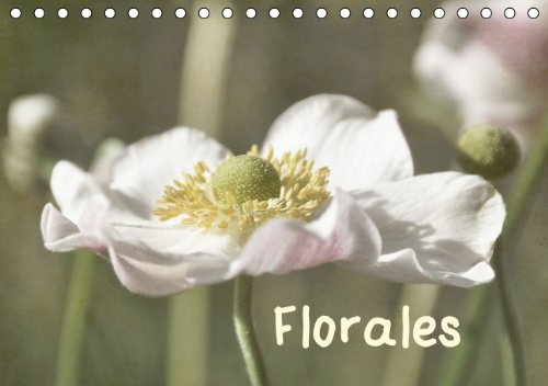9783660202212: Florales Tischkalender 2014 Din A5 Que