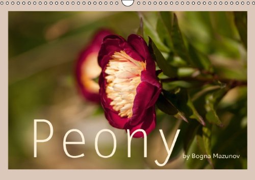 9783660210552: Mazunov, B: Peony (Wandkalender immerwhrend DIN A3 quer)