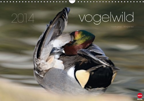 9783660223309: vogelwild (Wandkalender 2014 DIN A3 quer): Einzigartiger Blick auf unsere Vogelwelt (Monatskalender, 14 Seiten)