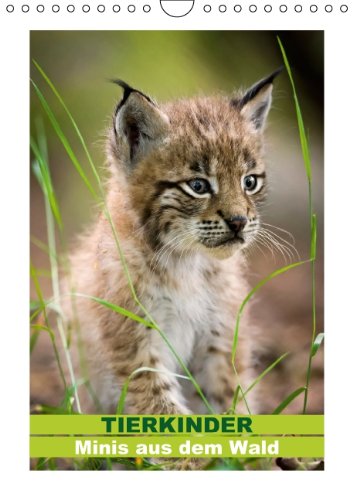 9783660259896: Tierkinder Minis Aus Dem Wald Wand