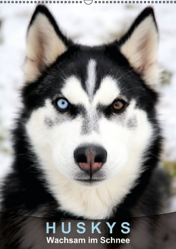 9783660270716: Huskys Wachsam Im Schnee Wandkalen