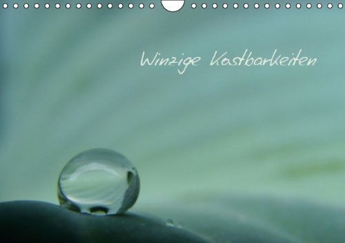 9783660288650: Winzige Kostbarkeiten Wandkalender 201