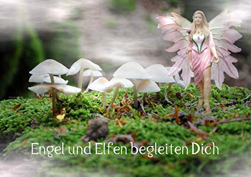 9783660302868: Engel und Elfen begleiten Dich (Posterbuch DIN A4 quer): Begegnung mit Engeln und Elfen in der Stille der Natur (Posterbuch, 14 Seiten)