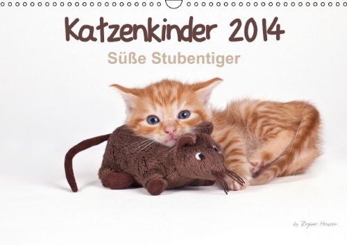 9783660324525: Katzenkinder 2014 S e Stubentiger