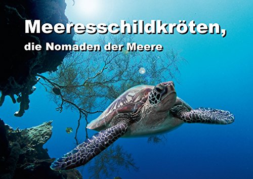 Meeresschildkröten, die Nomaden der Meere (Posterbuch DIN A2 quer) - Dieter Gödecke